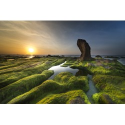 Картина на Картина - k3358820 -PAGAGAL