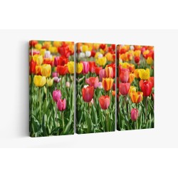 Картина на Картина - k3359902 -PAGAGAL