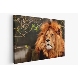 Картина на Картина - k3372720 -PAGAGAL