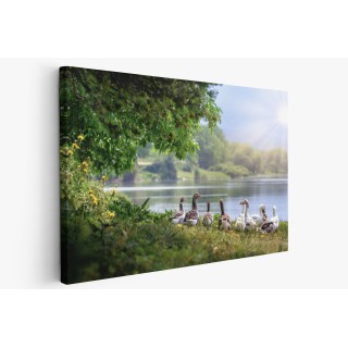 Картина на Картина - k3379677 -PAGAGAL