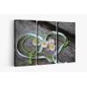 Картина на Картина - k3392654 -PAGAGAL