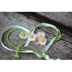 Картина на Картина - k3392654 -PAGAGAL