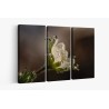 Картина на Картина - k3402550 -PAGAGAL