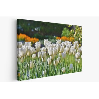 Картина на Картина - k3406530 -PAGAGAL