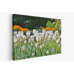 Картина на Картина - k3406530 -PAGAGAL