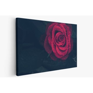 Картина на Картина - k3407234 -PAGAGAL