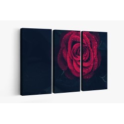 Картина на Картина - k3407234 -PAGAGAL