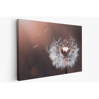 Картина на Картина - k3416140 -PAGAGAL