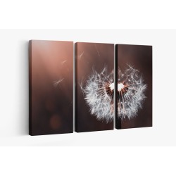 Картина на Картина - k3416140 -PAGAGAL