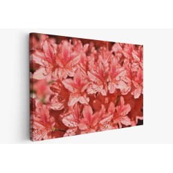 Картина на Картина - k3431253 -PAGAGAL