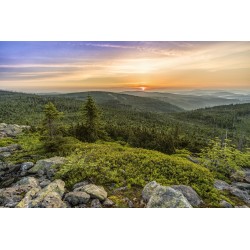 Картина на Картина - k3447463 -PAGAGAL