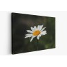 Картина на Картина - k3471286 -PAGAGAL