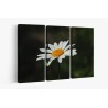 Картина на Картина - k3471286 -PAGAGAL