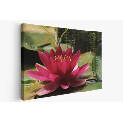 Картина на Картина - k3478924 -PAGAGAL