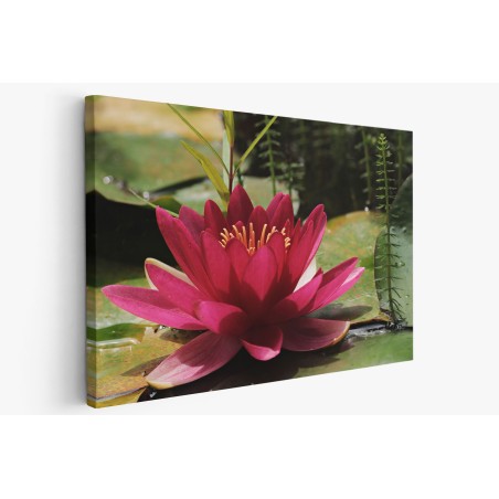 Картина на Картина - k3478924 -PAGAGAL