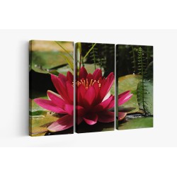 Картина на Картина - k3478924 -PAGAGAL