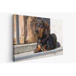 Картина на Картина - k3480930 -PAGAGAL