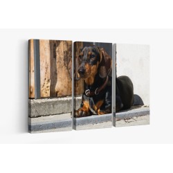 Картина на Картина - k3480930 -PAGAGAL