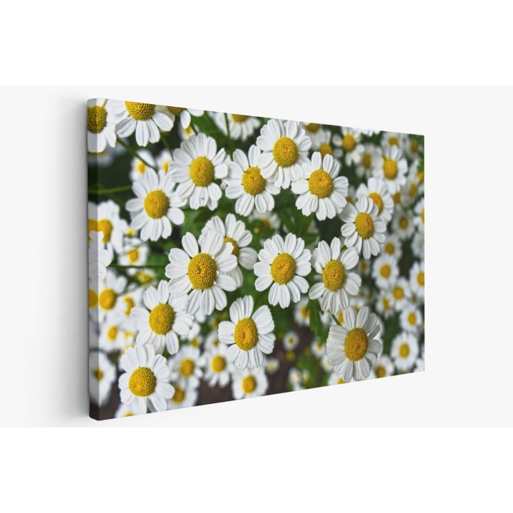 Картина на Картина - k3489847 -PAGAGAL