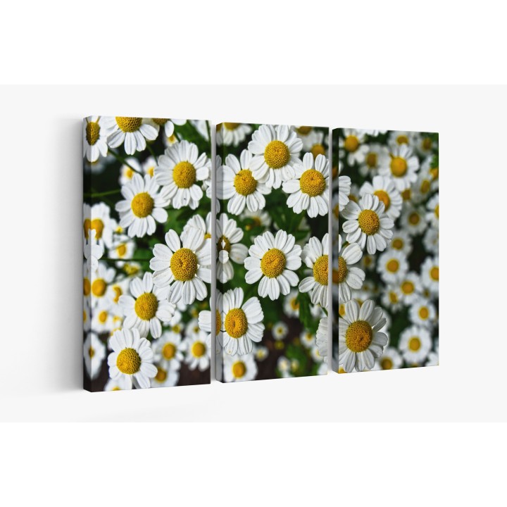 Картина на Картина - k3489847 -PAGAGAL