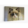 Картина на Картина - k3504008 -PAGAGAL