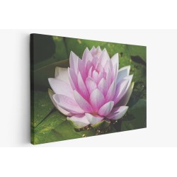 Картина на Картина - k3504363 -PAGAGAL