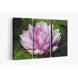 Картина на Картина - k3504363 -PAGAGAL