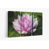 Картина на Картина - k3504363 -PAGAGAL
