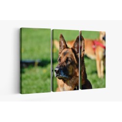 Картина на Картина - k3521155 -PAGAGAL