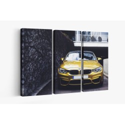 Картина на Картина - k3533813 -PAGAGAL