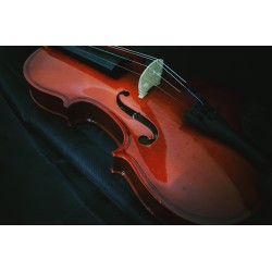 Картина на Картина - k3577816 -PAGAGAL