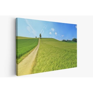 Картина на Картина - k3629120 -PAGAGAL