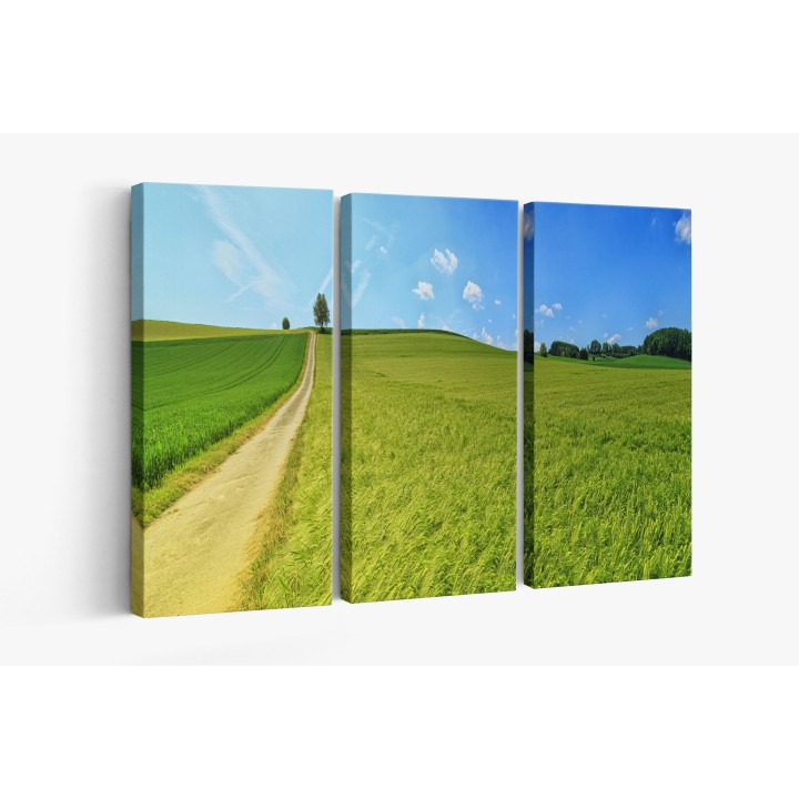 Картина на Картина - k3629120 -PAGAGAL