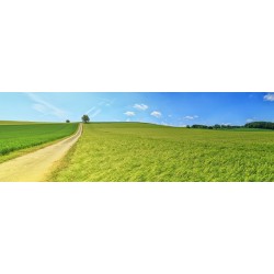 Картина на Картина - k3629120 -PAGAGAL