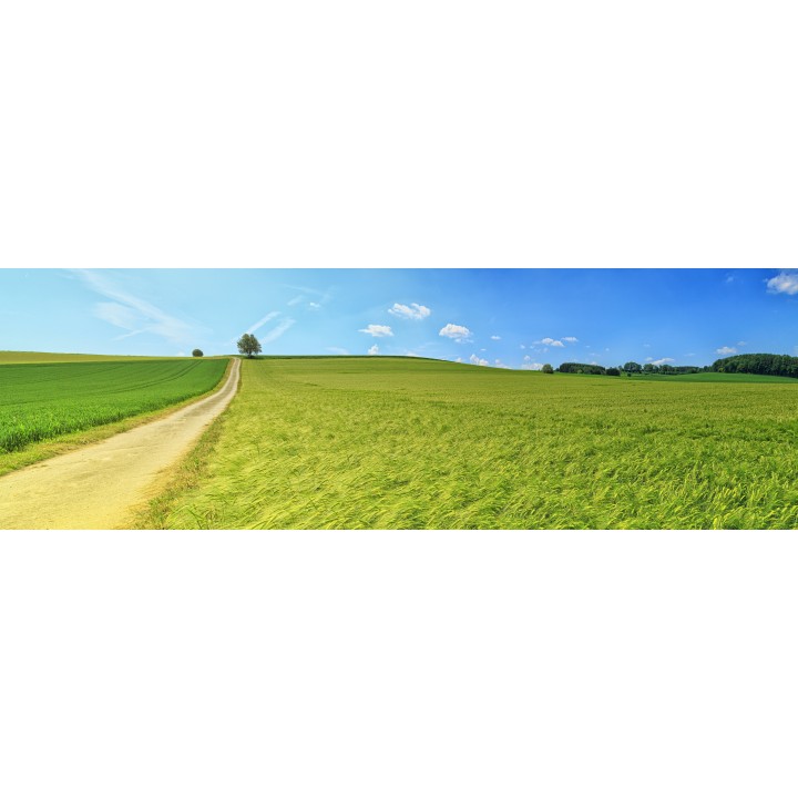Картина на Картина - k3629120 -PAGAGAL