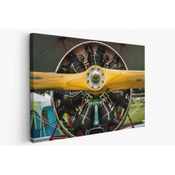 Картина на Картина - k3657356 -PAGAGAL