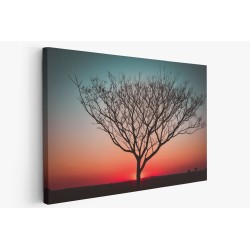 Картина на Картина - k3670232 -PAGAGAL