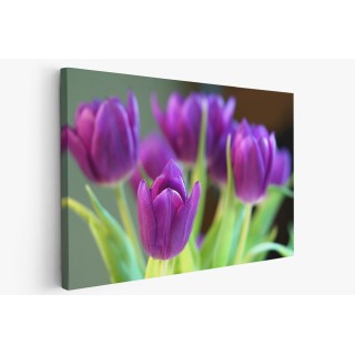 Картина на Лилави лалета - k7897185 -PAGAGAL