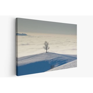 Картина на Самотно дърво в полето - k7897648 -PAGAGAL