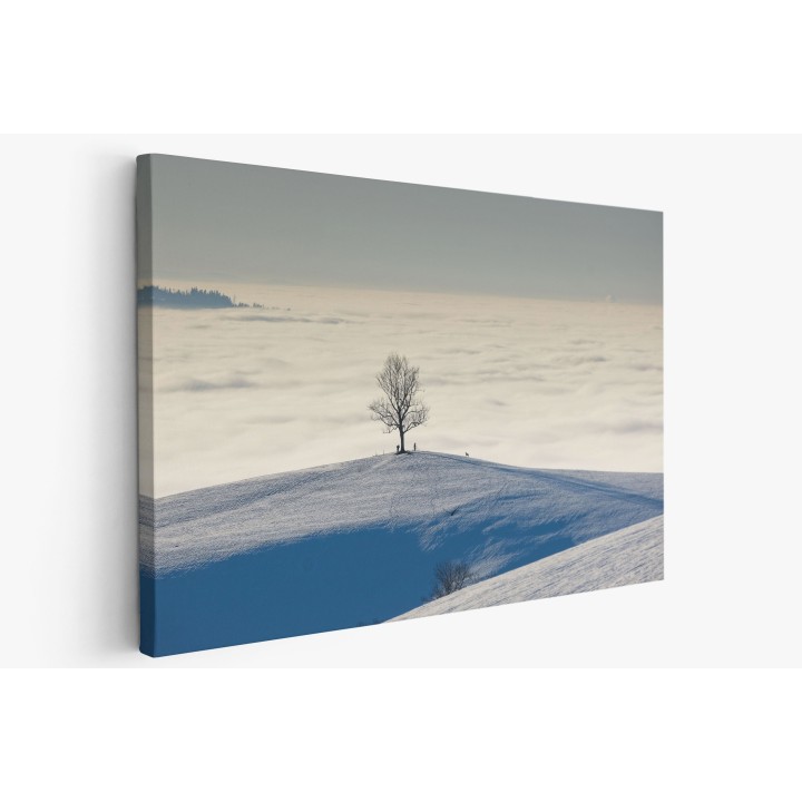 Картина на Самотно дърво в полето - k7897648 -PAGAGAL