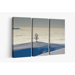 Картина на Самотно дърво в полето - k7897648 -PAGAGAL