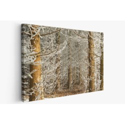 Картина на Заснежени клонки - k7897677 -PAGAGAL