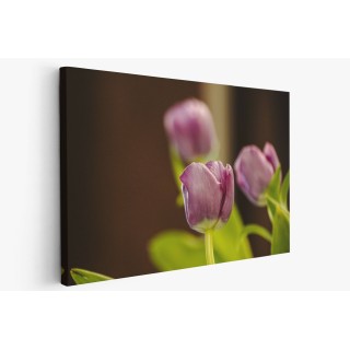 Картина на Лилаво лале - k7901568 -PAGAGAL