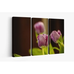 Картина на Лилаво лале - k7901568 -PAGAGAL