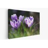 Картина на Минзухари на поляна - k7901721 -PAGAGAL