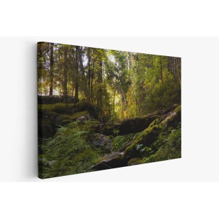 Картина на Лятна горска картина - k7901939 -PAGAGAL