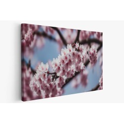 Картина на Вишнева клонка цвят - k7902062 -PAGAGAL