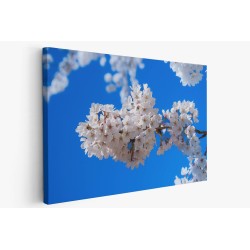 Картина на Цветове от вишна - k7902314 -PAGAGAL