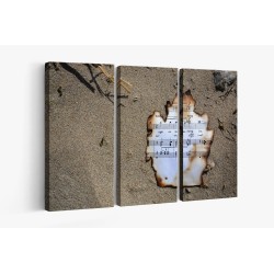 Картина на Остатъци от ноти на пясъка - k808524 -PAGAGAL