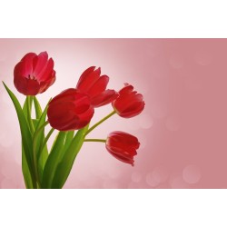 Картина на Червени лалета - k84457 -PAGAGAL